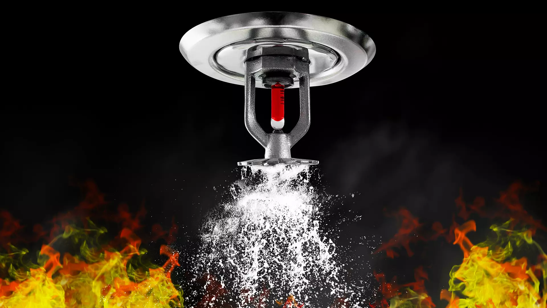 A megrendelő valós igényeire szabva - Delion Technik